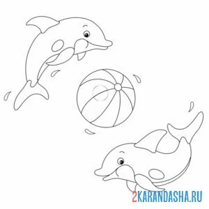 Раскраска два дельфина и мяч