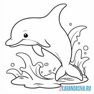 Раскраска дельфин и фирменный прыжок