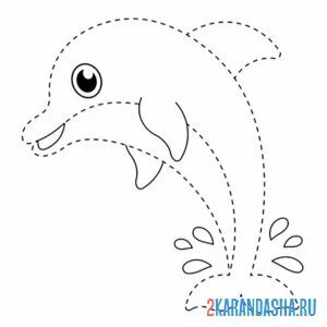 Раскраска обведи дельфина