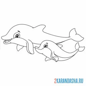 Раскраска красивая семья дельфинов