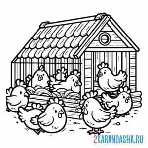 Раскраска курицы в курятнике