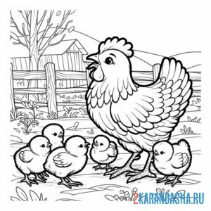 Раскраска курица и четыре цыпленка