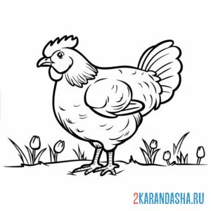 Раскраска курица как живая