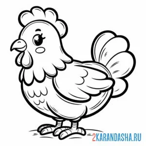 Раскраска курица красивая