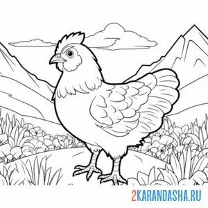 Раскраска курица в горах