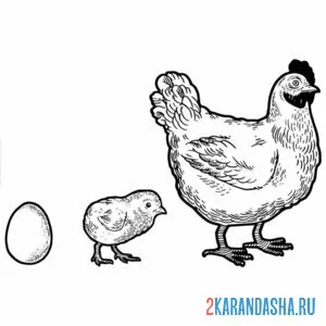 Раскраска яйцо цыпленок курица