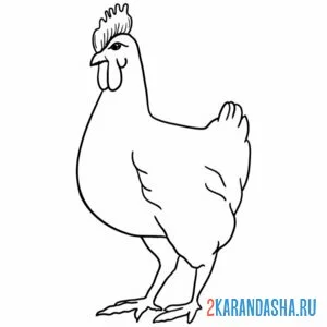 Раскраска курица стройняшка