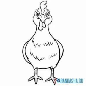 Раскраска курица в анфас