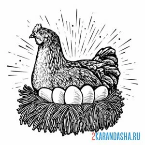 Раскраска курица снесла яйца
