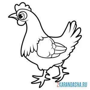 Раскраска курица глазастая