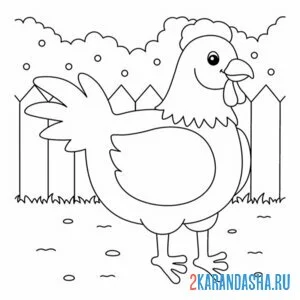 Раскраска курица во дворе