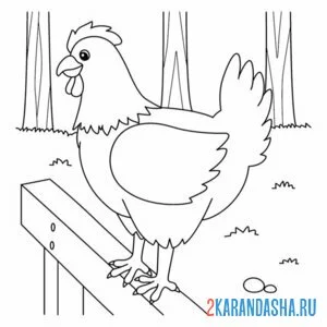 Раскраска курица на заборе