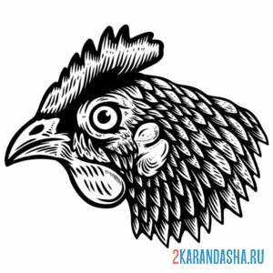 Раскраска голова настоящей курицы