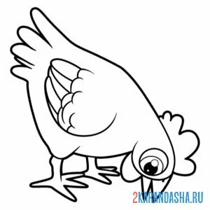 Раскраска курица ищет еду