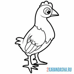 Раскраска курочка или курица