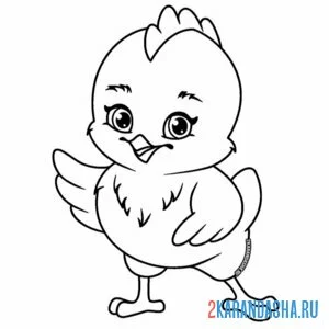 Раскраска цыпленок красивый милый