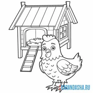 Раскраска курица и курятник