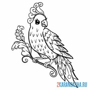 Раскраска птица домашняя попугай