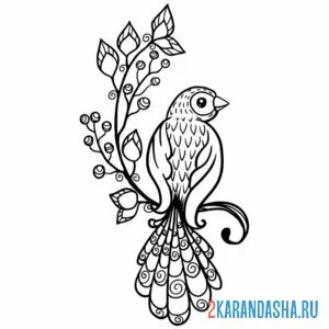 Раскраска дикая птица на ветке