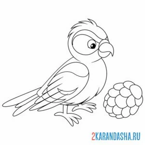 Раскраска лесная птичка