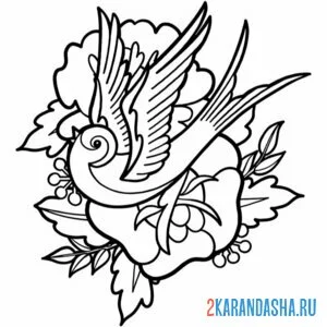 Раскраска ласточка птица