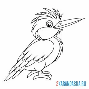 Раскраска птица зимородок