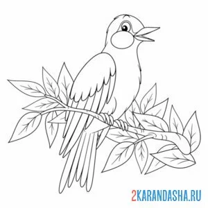 Раскраска птица иволга