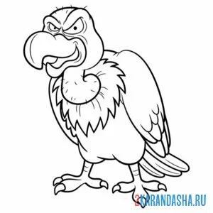 Раскраска птица стервятник