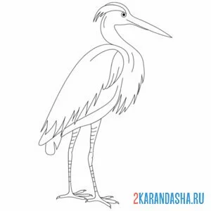 Раскраска журавль на лапках
