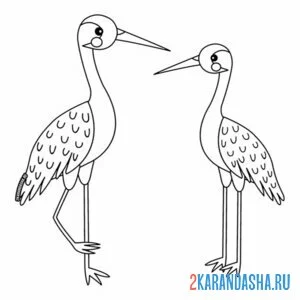 Раскраска журавль пара