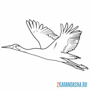 Раскраска журавль летит