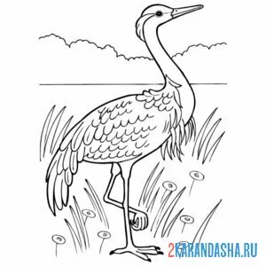 Раскраска журавль и река