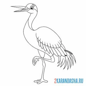 Раскраска журавль красивый