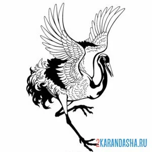 Раскраска танец одного журавля