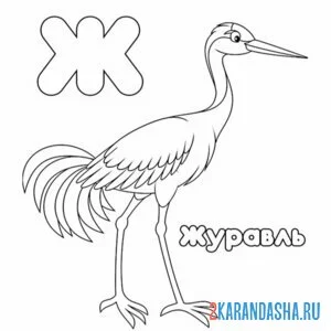 Раскраска буква ж журавль