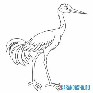 Раскраска журавль красивая птица