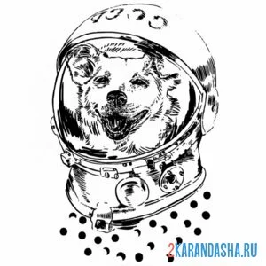 Раскраска белка собака космос