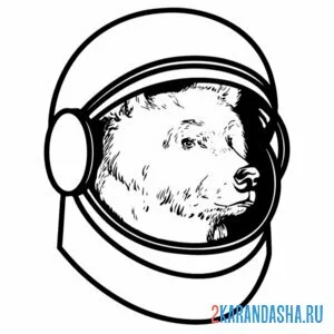 Раскраска стрелка белка космонавты