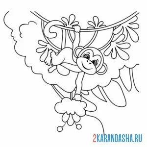Раскраска обезьянка зоопарк