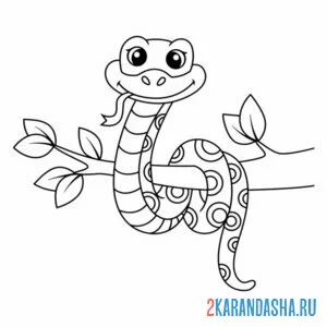 Раскраска змея в зоопарке