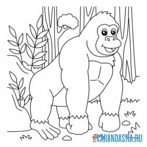 Раскраска горилла в зоопарке