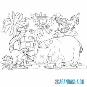 Раскраска разные животные зоопарк