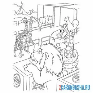 Раскраска животные из зоопарка мило