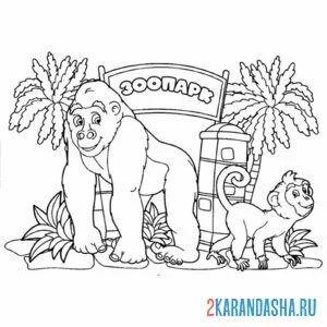 Раскраска горилла у зоопарка