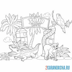 Раскраска зоопарк редкие животные