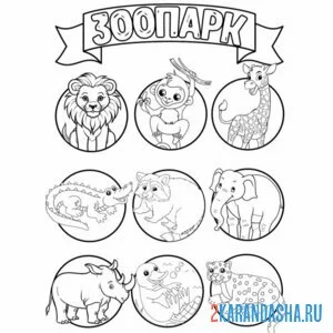 Раскраска зоопарк назови животных