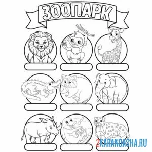 Раскраска зоопарк напиши животных