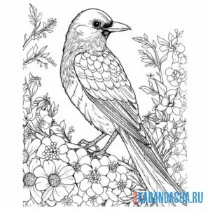 Раскраска сорока в цветочках