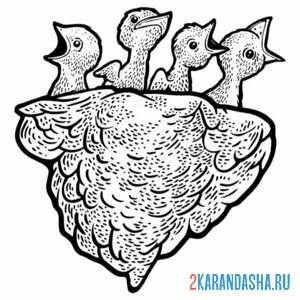 Раскраска ласточкины птенцы