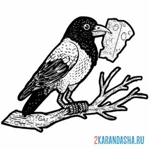 Раскраска сорока и сыр